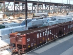 Acela And Herzog